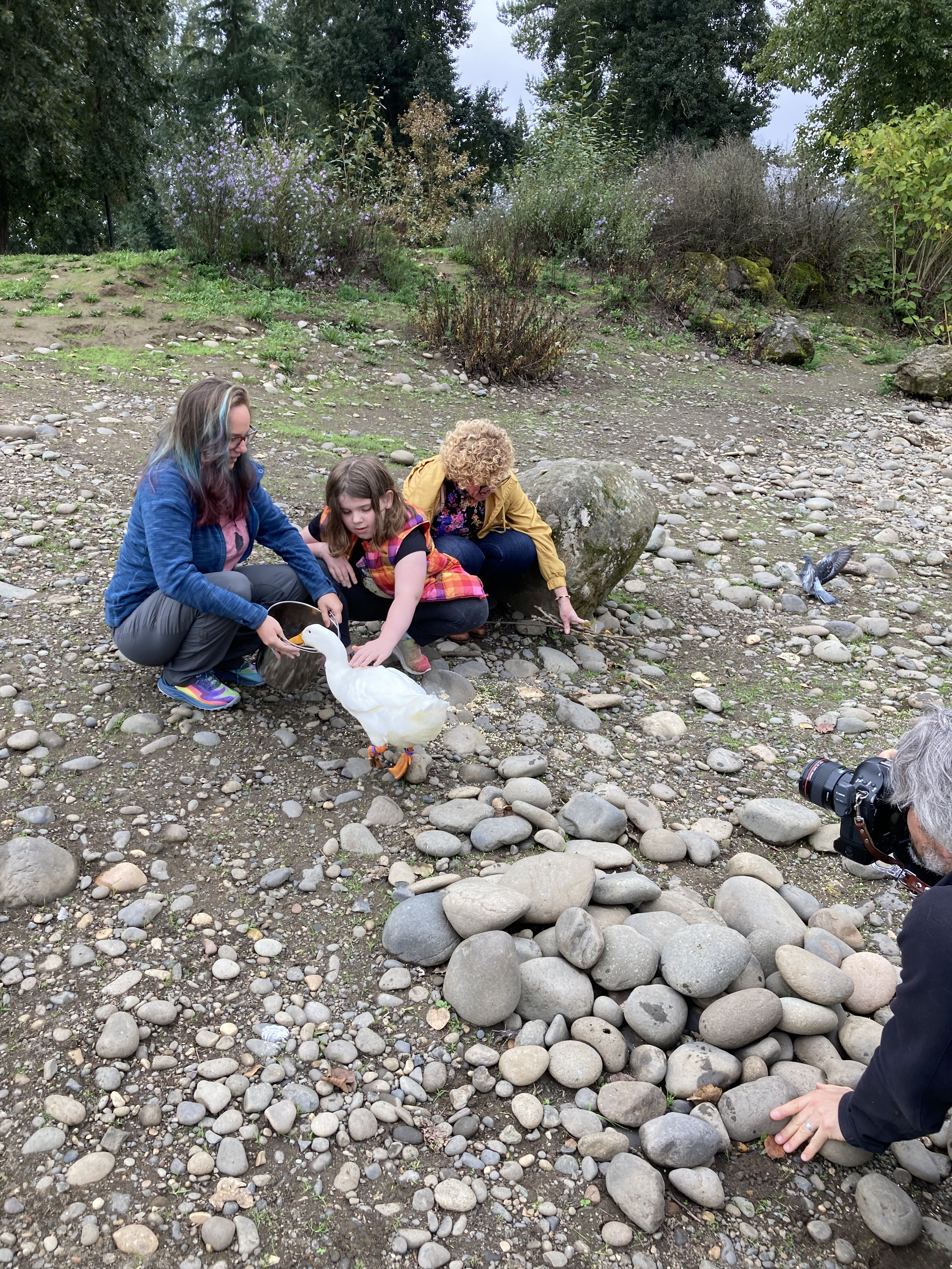 he little girl with her guardian and therapist as they crouch in the ground near a lake with many rocks, petting a duck.